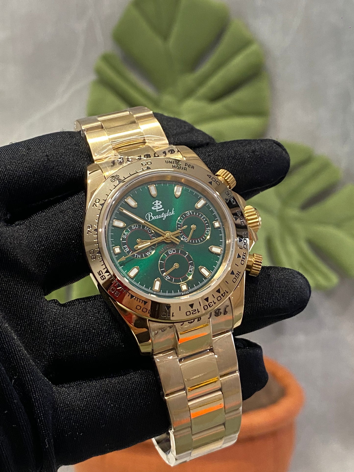 Men's Automatic Mechanical Watch